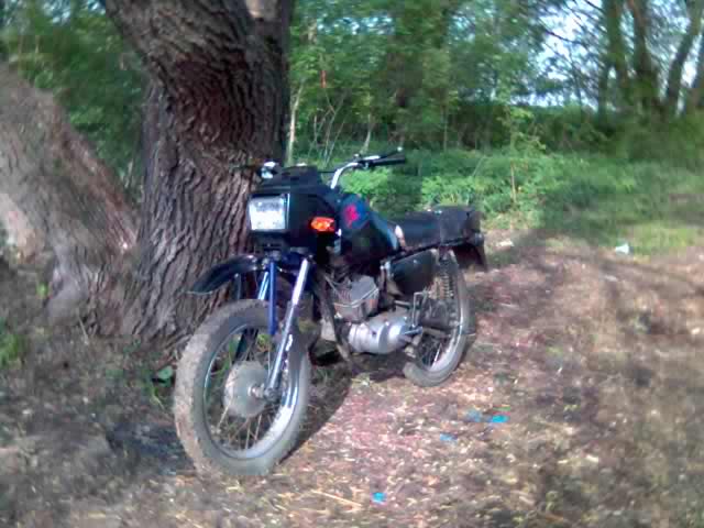 06-05-10_0850.jpg