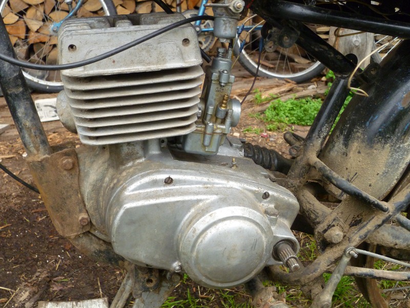 P1000208.JPG