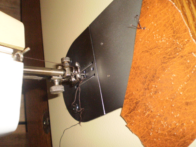 P4010012.JPG