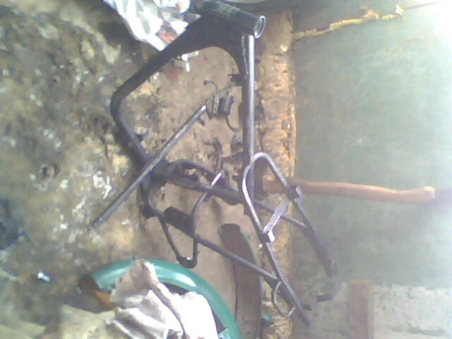 IMG0286A.jpg