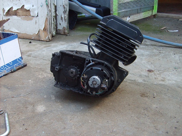 S5004427.JPG
