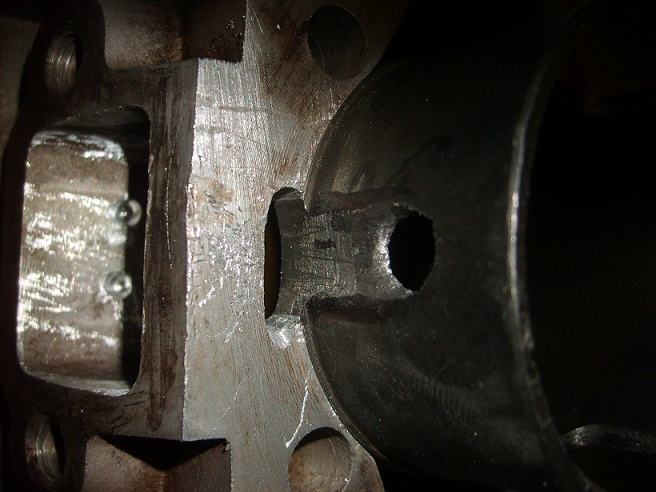 S5004495.JPG