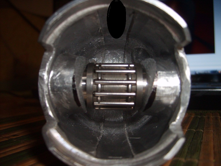 S5004472.JPG