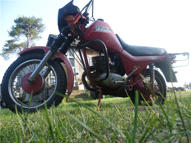 62ef8739384a.jpg