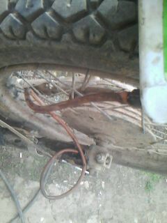 IMG0029A.jpg