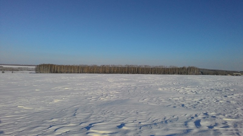 P_20160110_142954.jpg