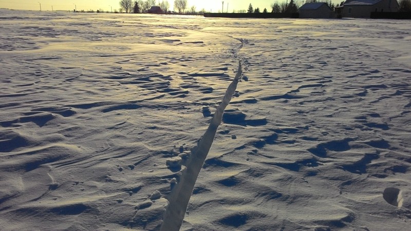 P_20160110_143012.jpg