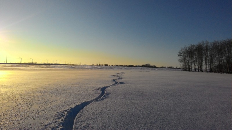 P_20160110_152409.jpg