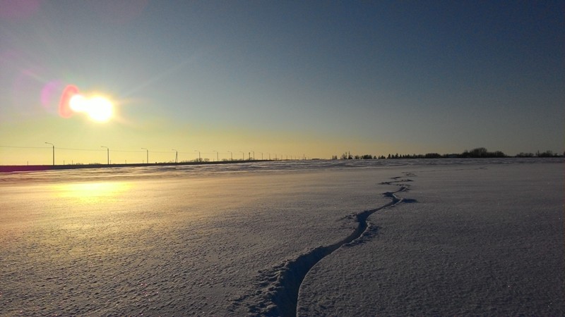 P_20160110_152414.jpg